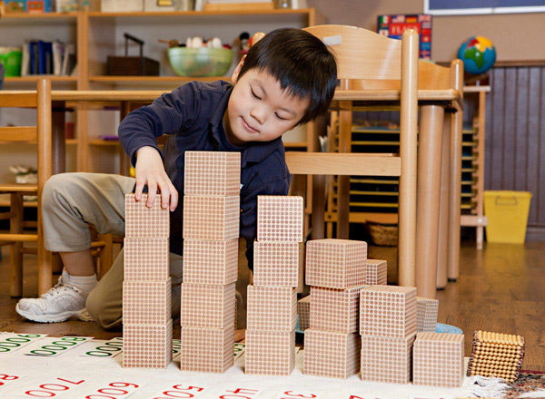 Image for Pebblecreek Montessori with ID of: 1358513