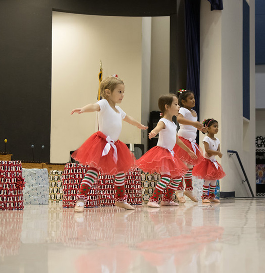 Image for Pebblecreek Montessori with ID of: 1358518