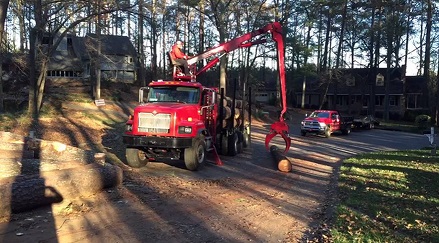Image for Waterford Tree Service with ID of: 1359015