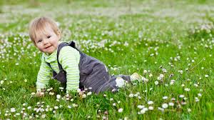 Image for Joy Wallpaper with ID of: 1359050