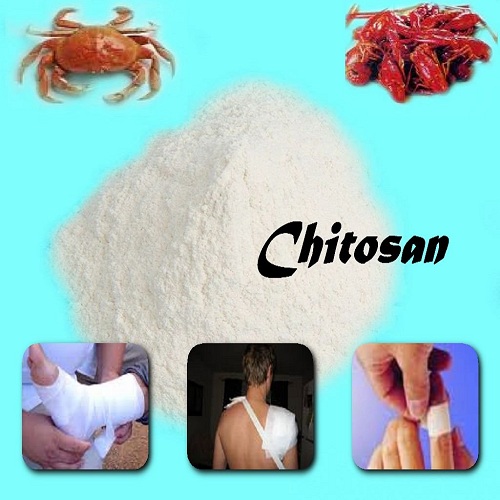 Image for Chitosan Market - Global Industry Perspective, Comprehensive Analysis and Forecast, 2015 – 2021 with ID of: 1359098
