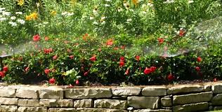Image for Irrigation system installation with ID of: 1359286