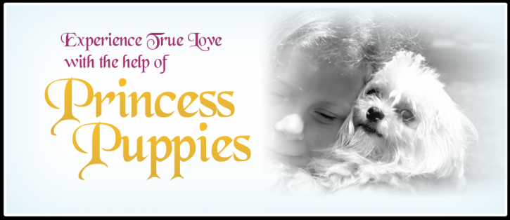 Image for Princess Puppies with ID of: 1360081