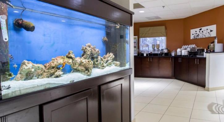 Image for Sleep Inn Ormond Beach with ID of: 1361196
