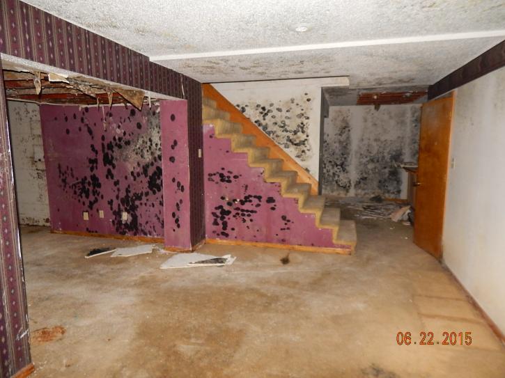 Image for Kade Cleaning Systems, LLC with ID of: 1361467