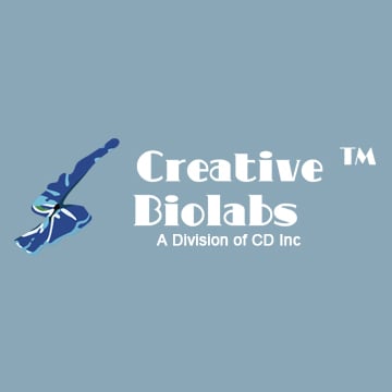 Image for antibody conjugate with ID of: 1362095