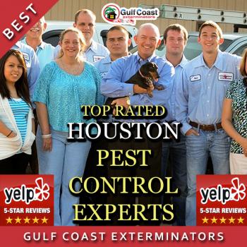 Image for Pest Control Houston Gulf Coast Exterminators with ID of: 1362216