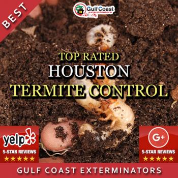 Image for Pest Control Houston Gulf Coast Exterminators with ID of: 1362218
