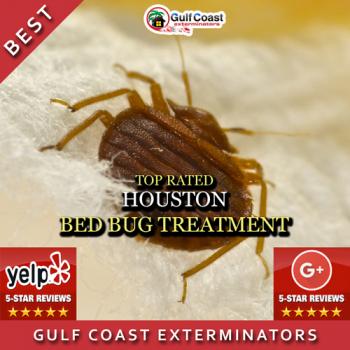 Image for Pest Control Houston Gulf Coast Exterminators with ID of: 1362221