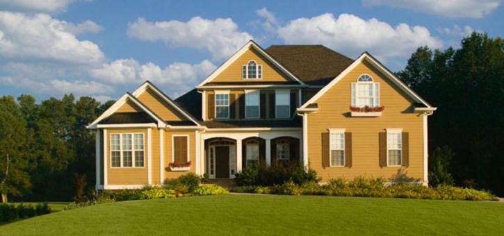 Image for Tips for Tree and Shrub Care with ID of: 1363129