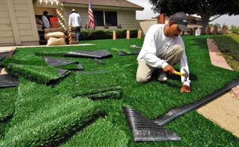 Image for Huntington Beach Landscaping with ID of: 1363753