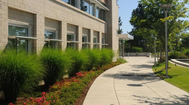 Image for Huntington Beach Landscaping with ID of: 1363754