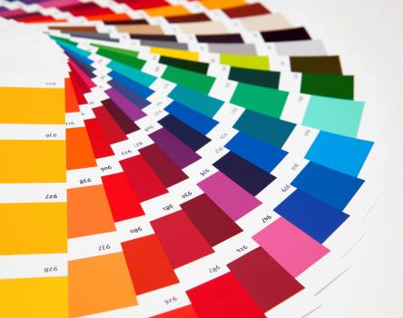 Image for Catdi Printing with ID of: 1364909
