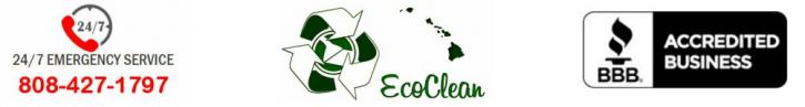 Image for Eco Clean Hawaii with ID of: 1365232