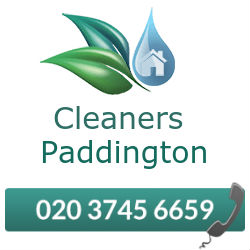 Image for Cleaning Services Paddington with ID of: 1366132