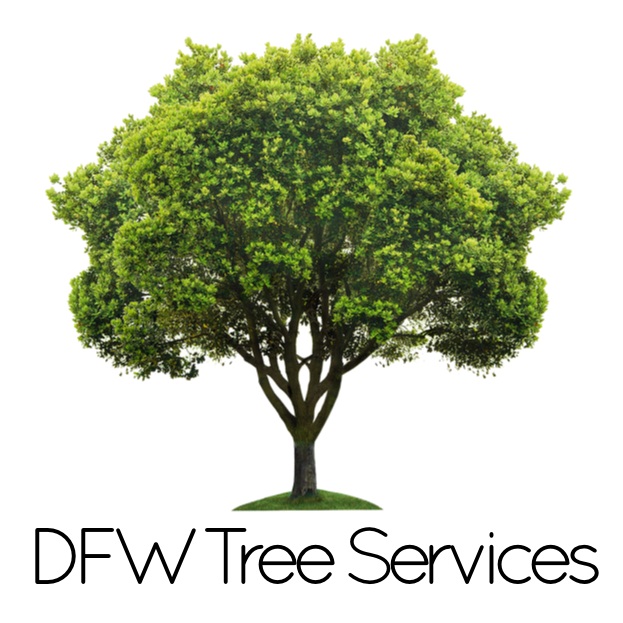 Image for DFW Tree Services with ID of: 1366344