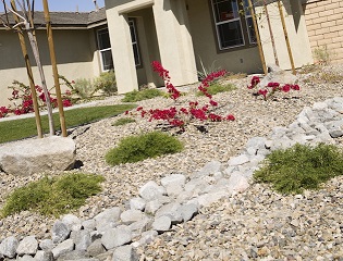 Image for Hardscape Landscaping Phoenix with ID of: 1367932