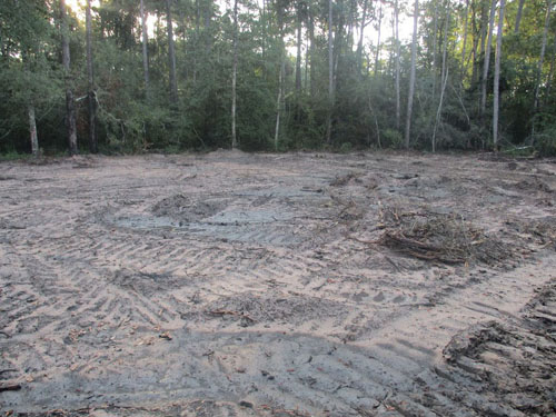Image for Dirtwirx Land Clearing with ID of: 1368081