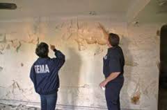 Image for Lead paint removals with ID of: 1369270
