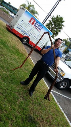 Image for Brinks Services with ID of: 1369293