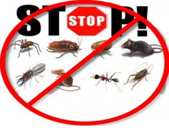 Image for Pest Control Lawrenceville with ID of: 1369674