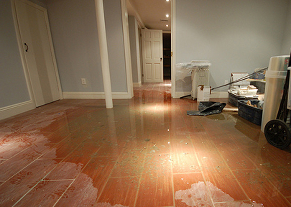 Image for Water Damage Pros Carrollton with ID of: 1370032