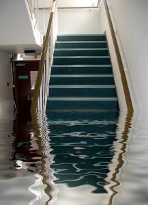 Image for Bonded Waterproofing Systems with ID of: 1370503