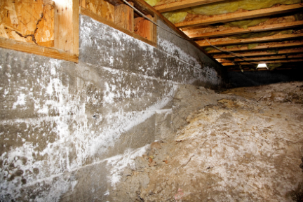 Image for Bonded Waterproofing Systems with ID of: 1370508