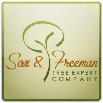 Image for Sox & Freeman with ID of: 1370608