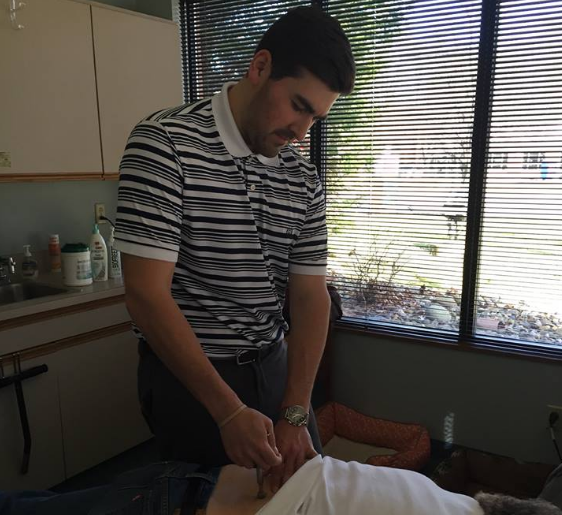 Image for Brumbaugh Chiropractic, LLC with ID of: 1372010