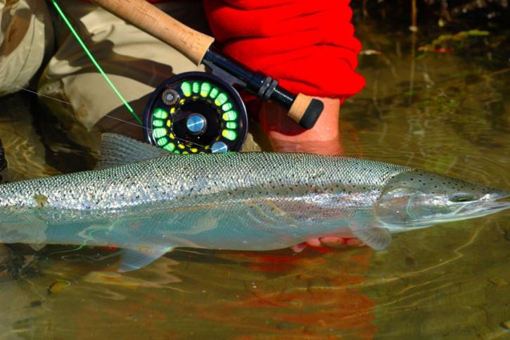 Image for No See Um Lodge with ID of: 1372016