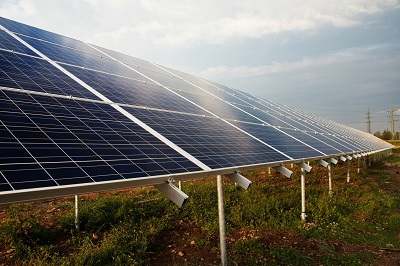 Image for Solar Buffalo with ID of: 1372124