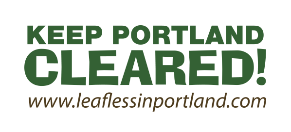 Image for Leafless In Portland with ID of: 1372557