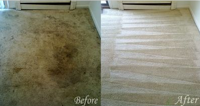Image for Master P's Carpet with ID of: 1373343