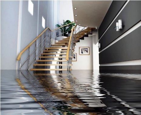 Image for Water Damage with ID of: 1373571
