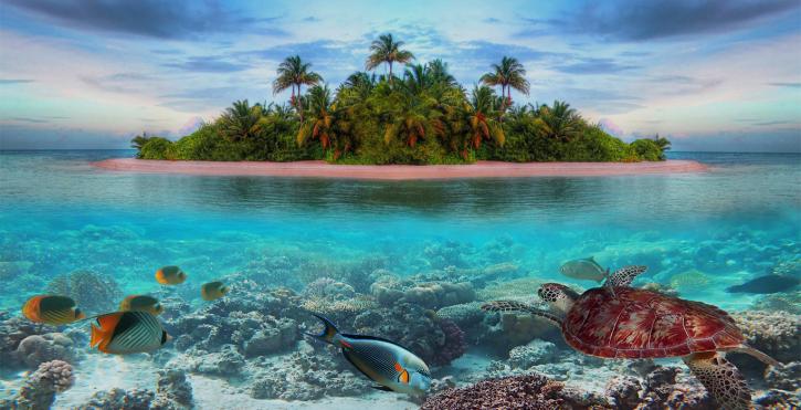 Image for Siam Aquatic Adventures with ID of: 1375166