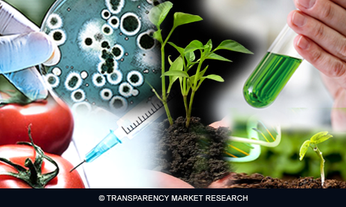Image for Growing Demand for Transcriptomics Technologies in Drug Discovery to Propel Global Market at 15.9% CAGR 2013-2019 with ID of: 1376451