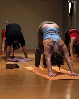 Image for Inner Sun Yoga Studio, LLC with ID of: 137717