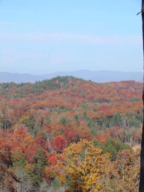Image for Fox Ridge In North Carolina Has Great LOWERED Prices On Mountain Lots with ID of: 137739