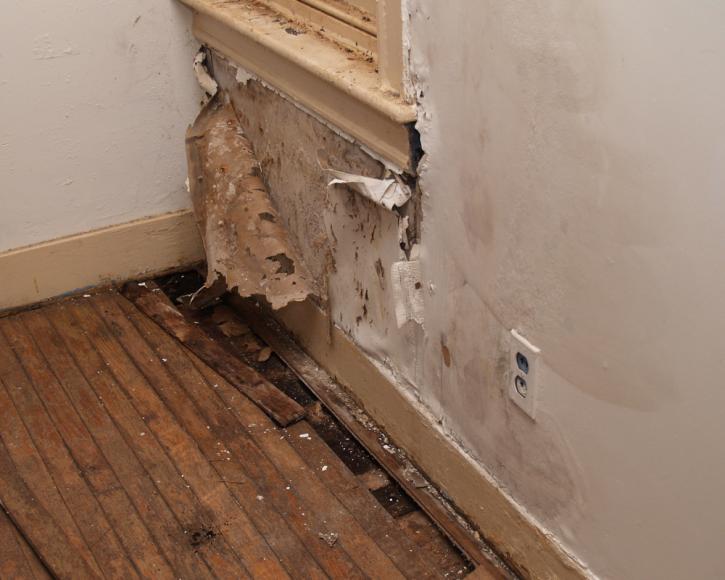 Image for Restoration Pros LLC with ID of: 1377801