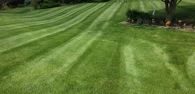 Image for Delaware Grass Cutting Service with ID of: 1378012