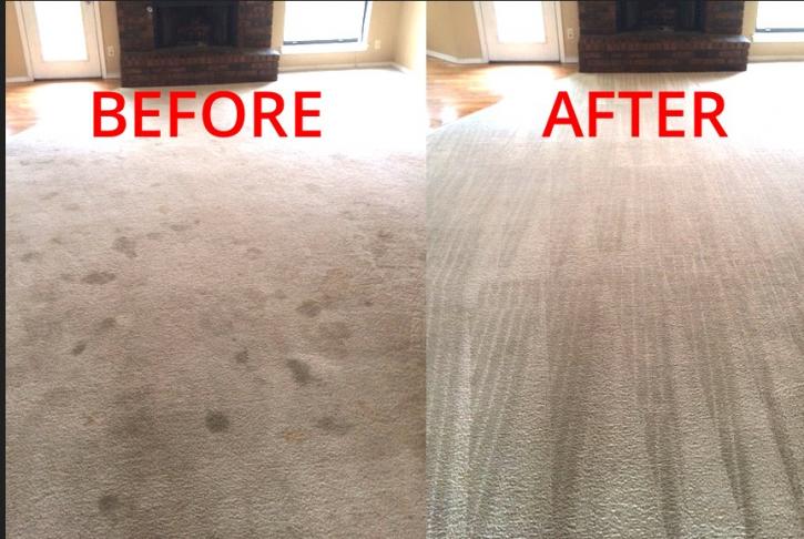 Image for Master Clean Carpet Cleaning with ID of: 1378595