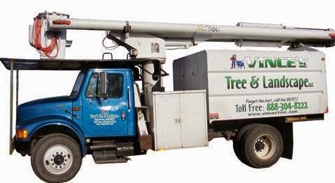 Image for Vince's Tree & Landscape, LLC with ID of: 1379057