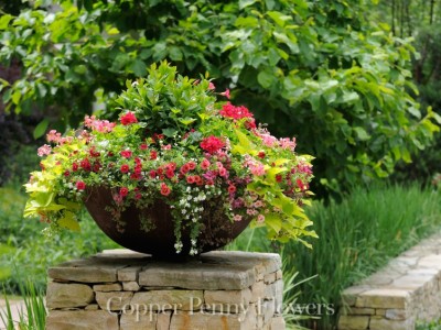 Image for Copper Penny Flowers with ID of: 1380692