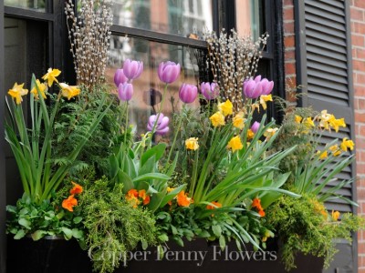Image for Copper Penny Flowers with ID of: 1380722