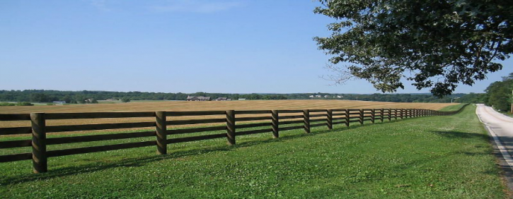 Image for Florida Fence Outlet with ID of: 1380992