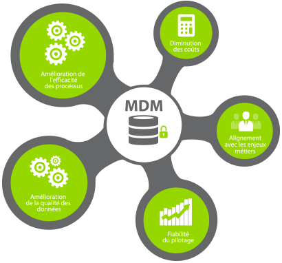 Image for Master Data Management Market: is expected to witness significant growth. with ID of: 1382897