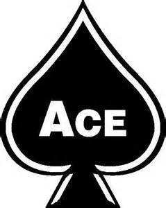 Image for Ace Exterminating Co., Inc. with ID of: 1384252
