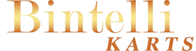 Image for Bintelli Karts with ID of: 1385642