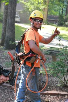 Image for A+ Tree & Crane Services, Inc. with ID of: 1387931